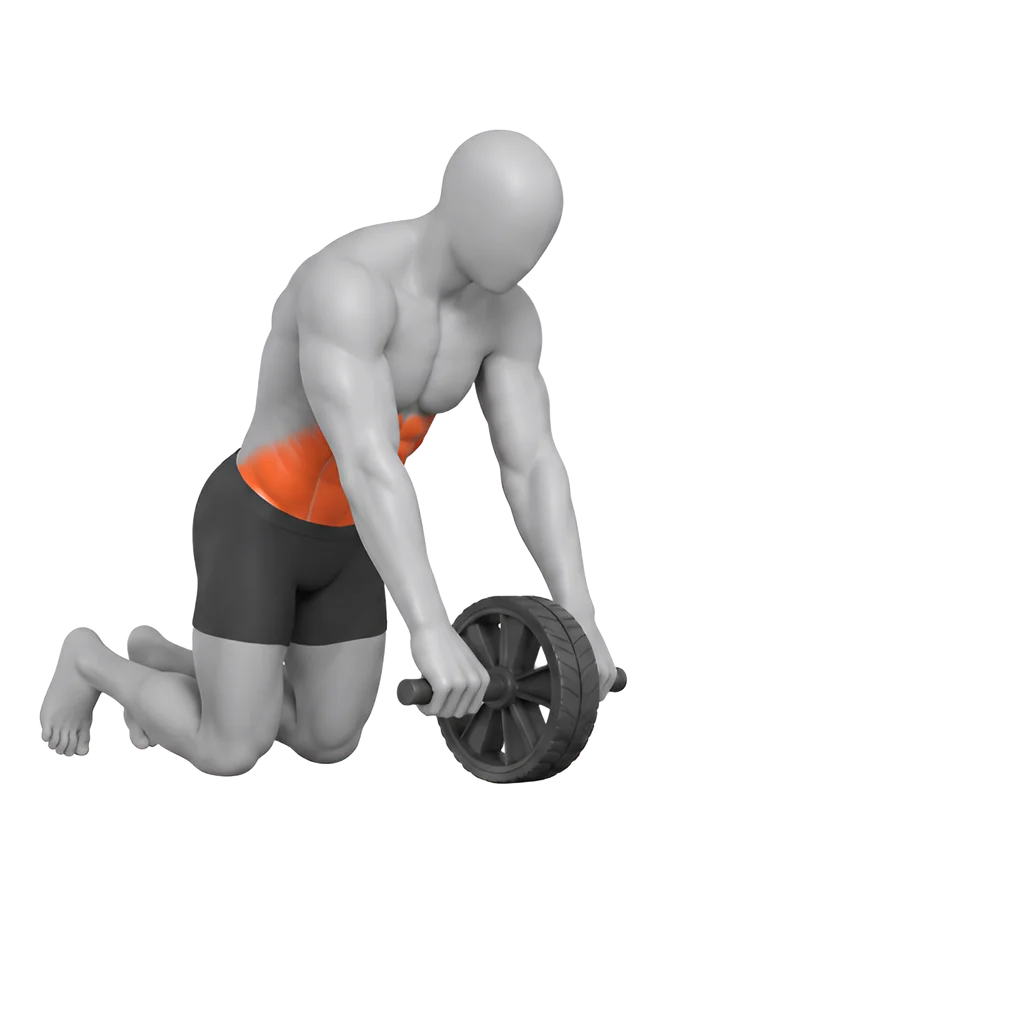 Ab Wheel Rollout