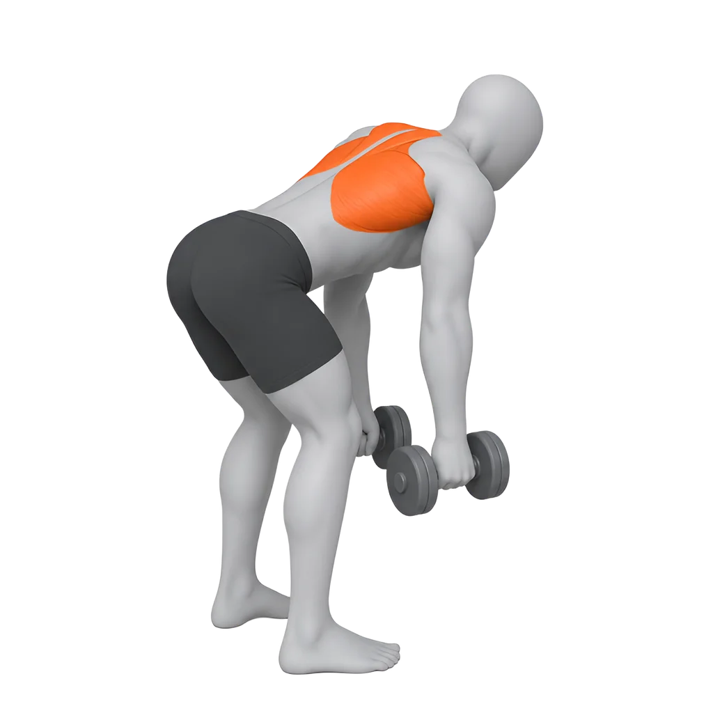Bent-Over Dumbbell Row